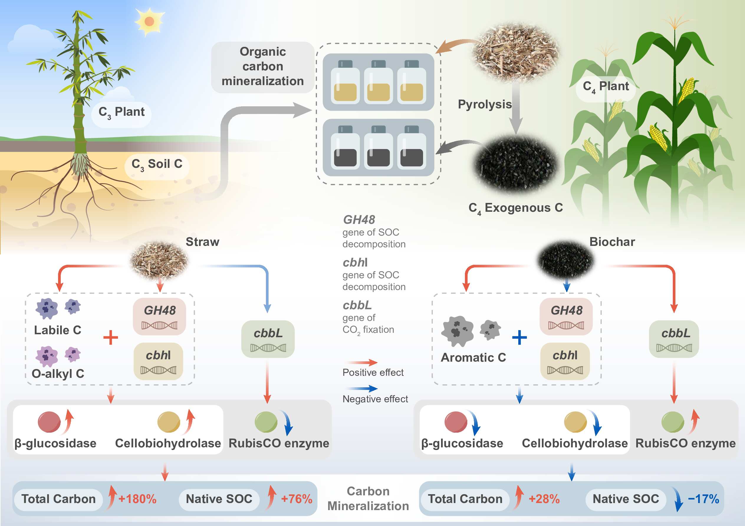 LetPub Graphical Abstract