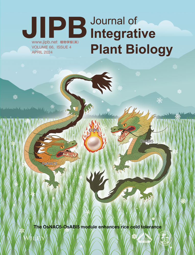 LetPub Journal Cover Design Service Art Sample, Journal of Integrative Plant Biology